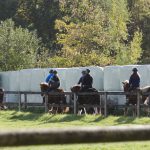 18-Wanderritt03