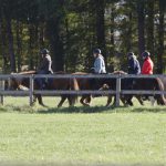 18-Wanderritt04
