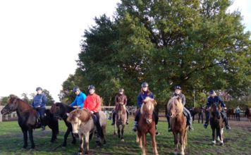 WanderReitCup-Ritt auf dem Integrativen Reitweg