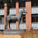 img_0992_pilot_handorf_web