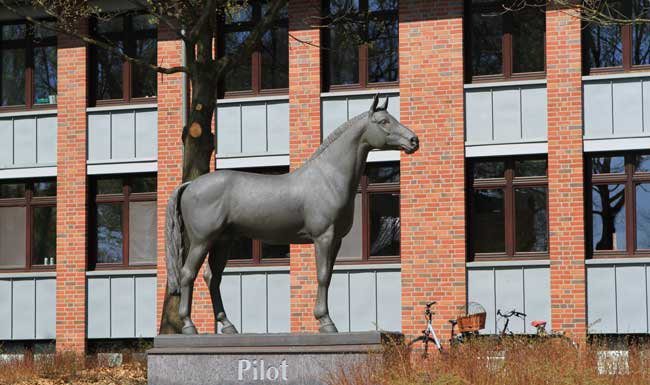 Züchterversammlung 2020