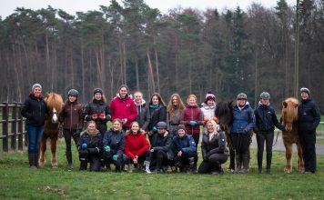 Gangtraining & Sitzschulung auf Grawinkel
