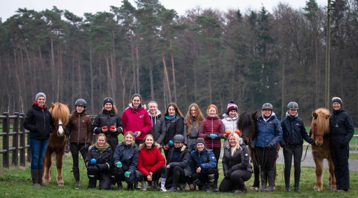 Gangtraining & Sitzschulung auf Grawinkel