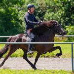 hamingja_isterbergerhof_lingen