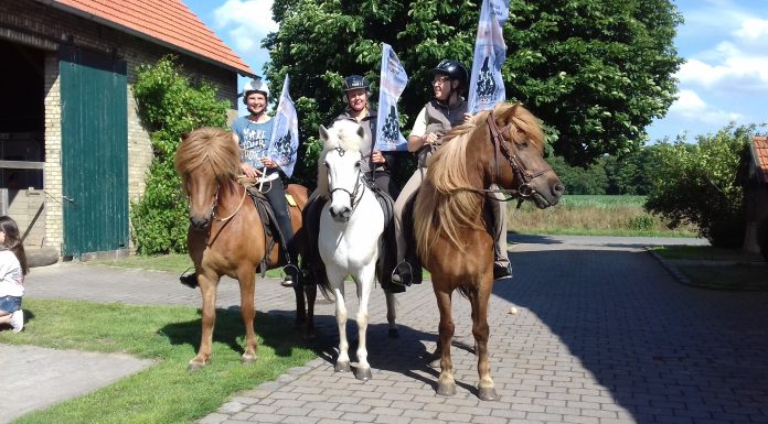 Der Stafettenritt zur WM kann starten.