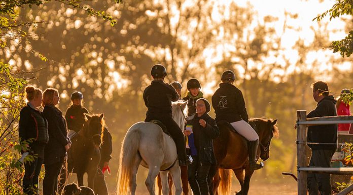 Zum Vereinsturnier in die Baumberge
