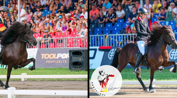 IPZV Münsterland e.V. erfolgreich auf der WM vertreten.