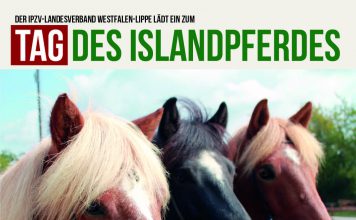 Tag des Islandpferdes in Münster-Handorf