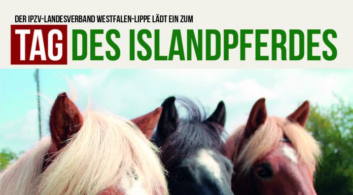 Tag des Islandpferdes in Münster-Handorf