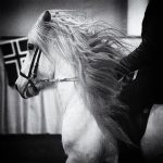 73458837_415337542481380_8273051243476156416_n