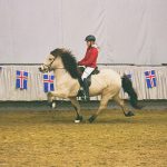 75435755_2709801602417958_7415059319109976064_n