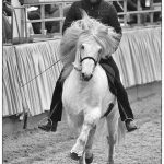 76693366_467565907217297_1188286827962826752_n