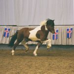 76728923_2528399623913309_7401220384726450176_n