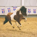 78234442_426515848271080_405330353079713792_n