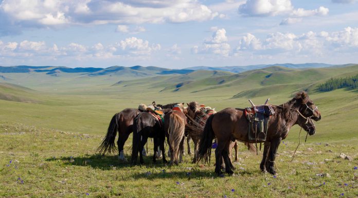 Mongolei-Ritt und Bayern-Brotzeit