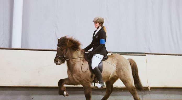 Winter-Qualitag in Handorf