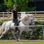 zügelüberstreichen