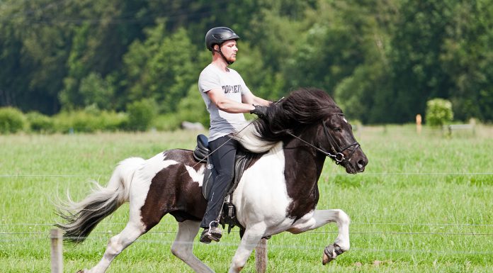 FIZO Seminar fällt aus