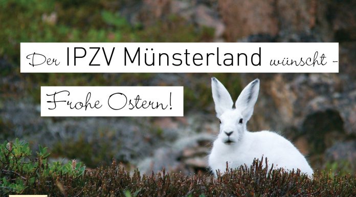 Frohe Ostern & was bisher geschah…..