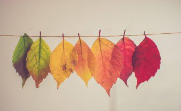 Handorf: Nächster Versuch im Oktober
