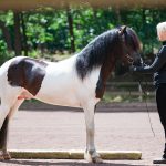 25-6-2018_Krijnde_1534