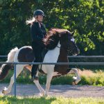 25-6-2018_Krijnde_1537