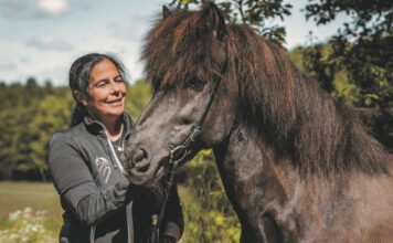 Suzan Beuk Kurs – jetzt anmelden!