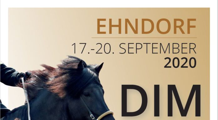 DIM 2020
