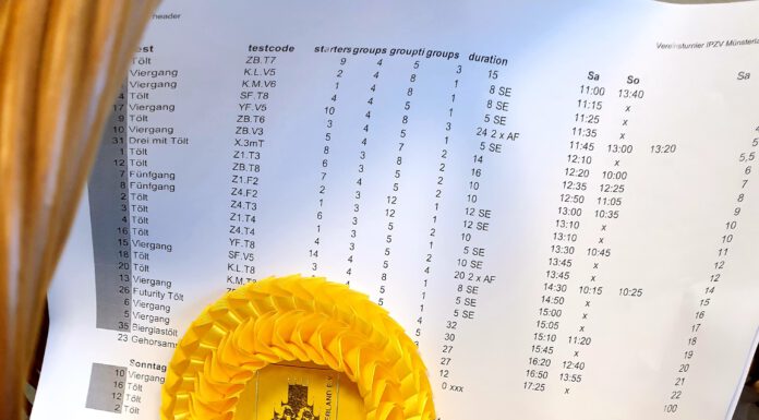 Umfrage Vereinsturnier