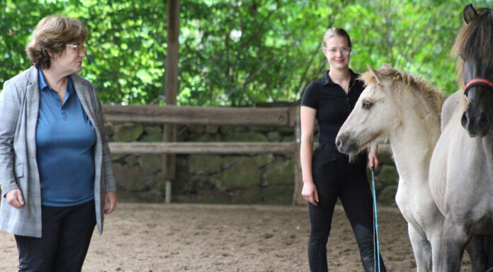 Westfälische Fohlenreise