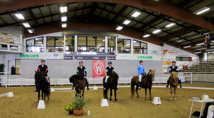 HIT: Zeitplan & Starterlisten