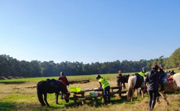 Termine im Freizeitbereich online Pausenplatz Erler Heide 2021