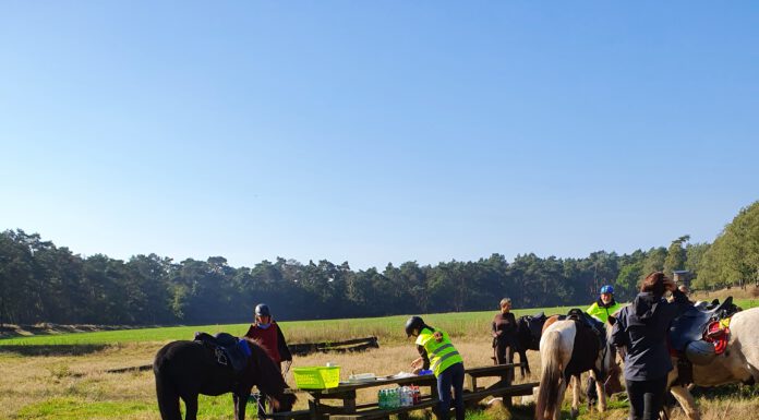 Termine im Freizeitbereich online Pausenplatz Erler Heide 2021