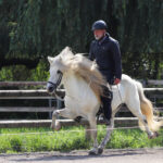 Andreas Trappe und sein Bragi in ihrer T2