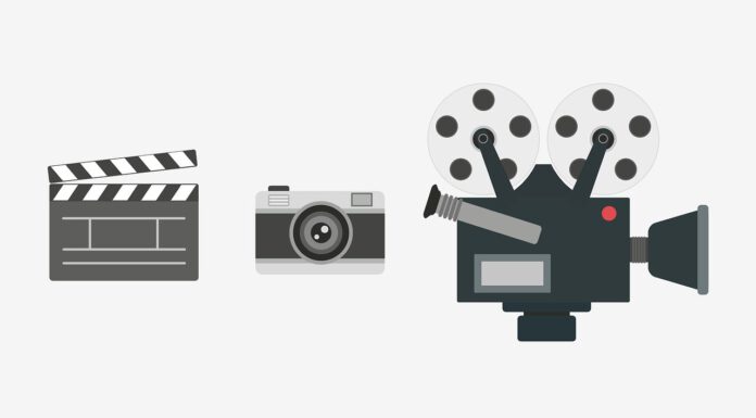 Videoaufnahmen der Jungpferdematerialprüfung