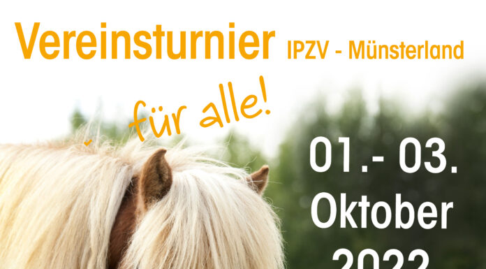 Vereinsturnier Informationen