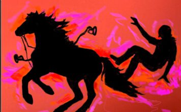 Ab sofort sind Anmeldungen zum Falltraining möglich