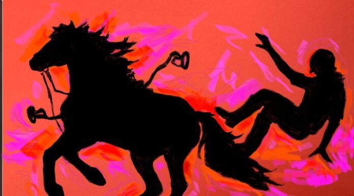 Ab sofort sind Anmeldungen zum Falltraining möglich