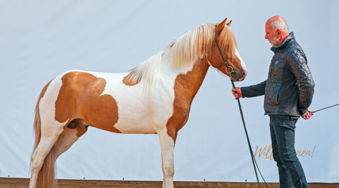 FIZO Gebäudeprüfung 2023