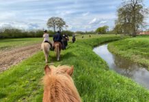Für Kurzentschlossene: Reiten, Schlemmen und Radieren am 13.05.2023
