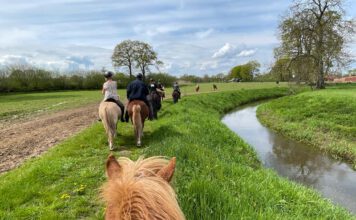 Für Kurzentschlossene: Reiten, Schlemmen und Radieren am 13.05.2023