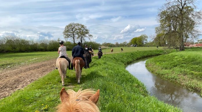 Für Kurzentschlossene: Reiten, Schlemmen und Radieren am 13.05.2023