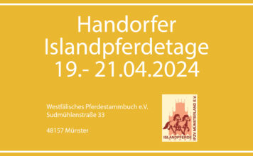 HIT-2024