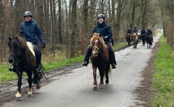 Erfolgreicher Start in die Wanderreitsaison 2024