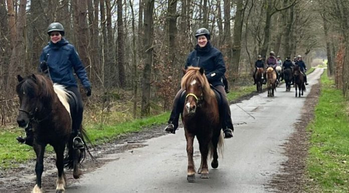 Erfolgreicher Start in die Wanderreitsaison 2024