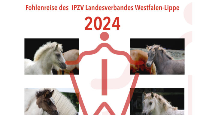 Infos zur Fohlenreise