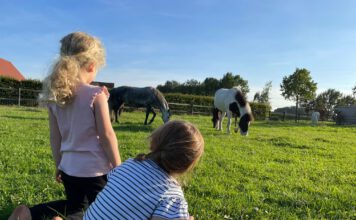 Bambini Nachmittag an der Fohlenwiese
