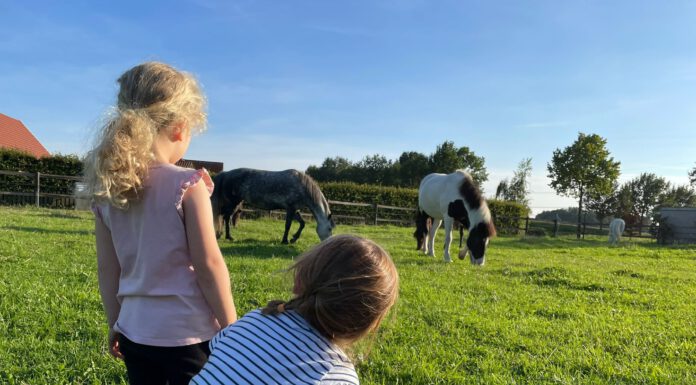 Bambini Nachmittag an der Fohlenwiese