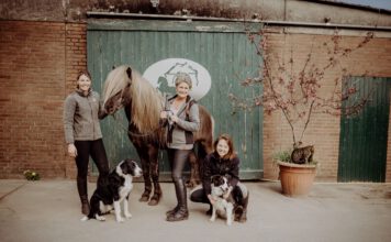 Adventsbasar Borgarstadur