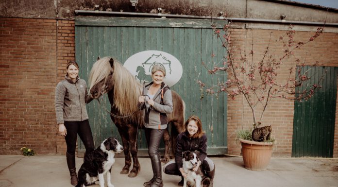 Adventsbasar Borgarstadur